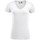 Vêtements Femme T-shirts manches longues C-Clique Arden Blanc