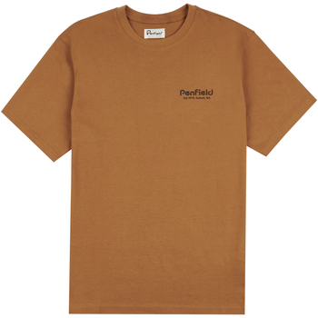 Vêtements Homme T-shirts & Polos Penfield T-shirt  Arc Mountain Back Graphic Marron