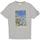 Vêtements Homme Débardeurs / T-shirts sans manche 3Gm TEE SHIRT TSM51-400 GRIS Gris