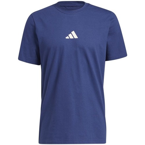 Vêtements Homme T-shirts manches courtes adidas Originals Geo Graphic Tee Marine