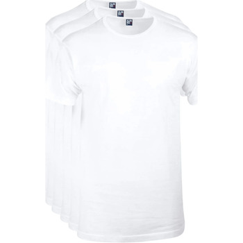 Vêtements Homme T-shirts & Polos Alan Red T-Shirts Derby Col Rond Blanc Promo (Lot de 3) Blanc