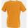 Vêtements Homme T-shirts manches courtes Sun Valley Codrep - h - tee shirt mc Jaune