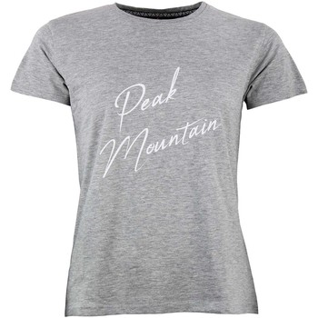 Vêtements Femme T-shirts manches courtes Peak Mountain T-shirt manches courtes femme ATRESOR GRIS