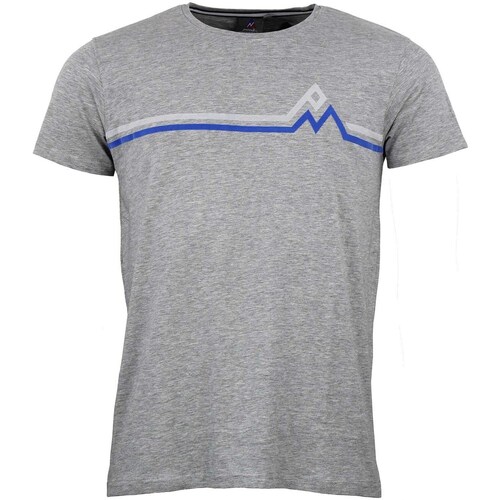 Vêtements Homme T-shirts manches courtes Peak Mountain T-shirt manches courtes homme CASA Gris