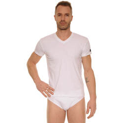 Vêtements Homme T-shirts manches courtes Cane BASTIA Blanc