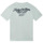 Vêtements Garçon T-shirts COTTON manches courtes Zadig & Voltaire X25353-72E-J Vert clair