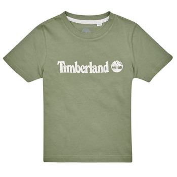 Vêtements Garçon T-shirts manches courtes Timberland T25T77-708-C Kaki