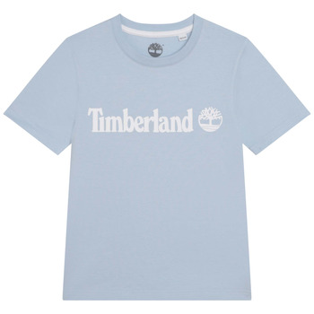 Vêtements Garçon T-shirts manches courtes Timberland T25T77-79L-J Bleu clair
