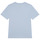 Vêtements Garçon T-shirts manches courtes Timberland T25T77-79L-J Bleu clair