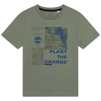 Vêtements Garçon T-shirts manches courtes Timberland T25T87-708-J Kaki