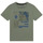 Vêtements Garçon T-shirts manches courtes Medium Timberland T25T87-708-J Kaki