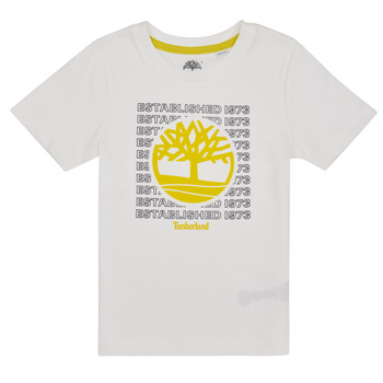 Vêtements Garçon T-shirts manches courtes Timberland T25T97-10P-C Blanc