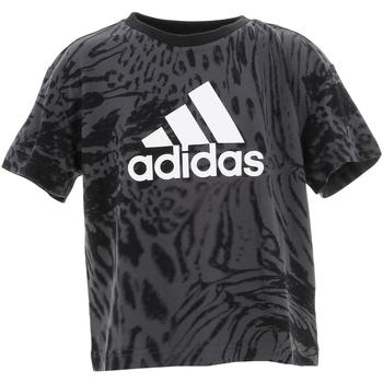 Vêtements Fille T-shirts manches courtes adidas Originals G fi aop tee Gris