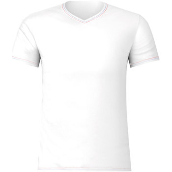 Vêtements Homme T-shirts manches courtes Eminence Tee-shirt col V homme Fait en France blanc