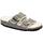 Chaussures Femme Sandales et Nu-pieds Birkenstock Arizona Shearling Stone Coin 