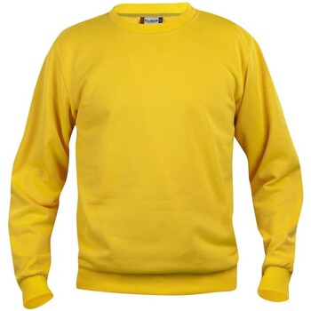 Vêtements Sweats C-Clique  Multicolore