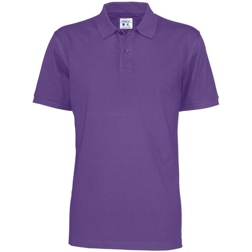 Vêtements Homme T-shirts & Polos C-Clique UB407 Violet