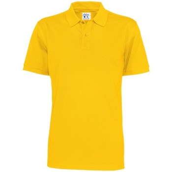 Vêtements Homme T-shirts & Polos C-Clique UB407 Multicolore