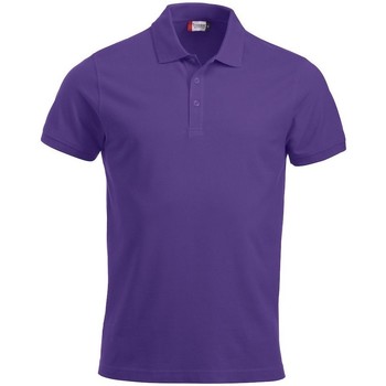 Vêtements Homme T-shirts & Polos C-Clique  Violet