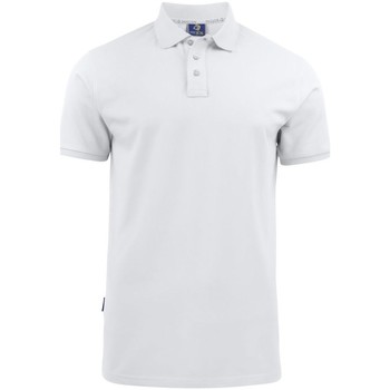 Vêtements Homme T-shirts & Polos Projob UB675 Blanc