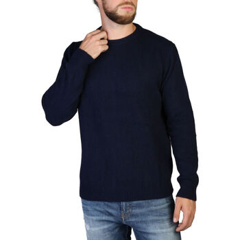Vêtements Homme Pulls 100% Cashmere - c-neck-m Bleu