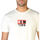 Vêtements Homme T-shirts manches courtes Diesel - t-diegos-b10_0gram Blanc