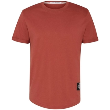 Vêtements Homme T-shirts & Polos Calvin Klein Jeans T shirt  Ref 57183 XLN Terracotta tile Orange