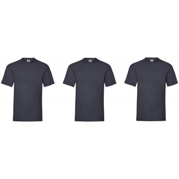 Vêtements Homme T-shirts manches courtes Fruit Of The Loom Samy Bleu Marine