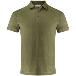 Vêtements Homme T-shirts & Polos Harvest Brookings Multicolore