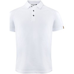 Vêtements Homme T-shirts & Polos Harvest  Blanc