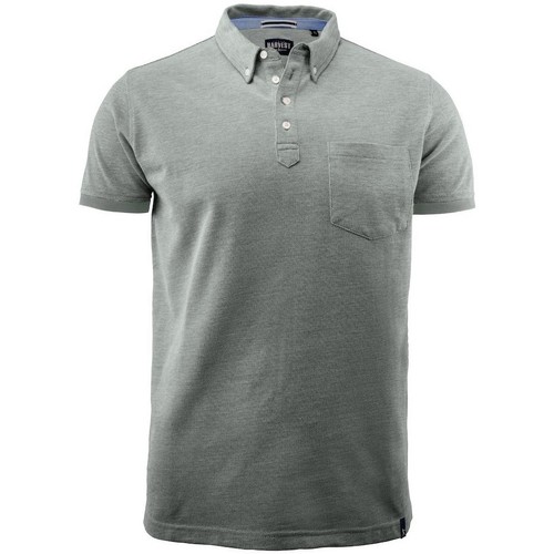 Vêtements Homme T-shirts & Polos James Harvest  Gris