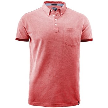 Vêtements Homme T-shirts & Polos James Harvest Larkford Rouge