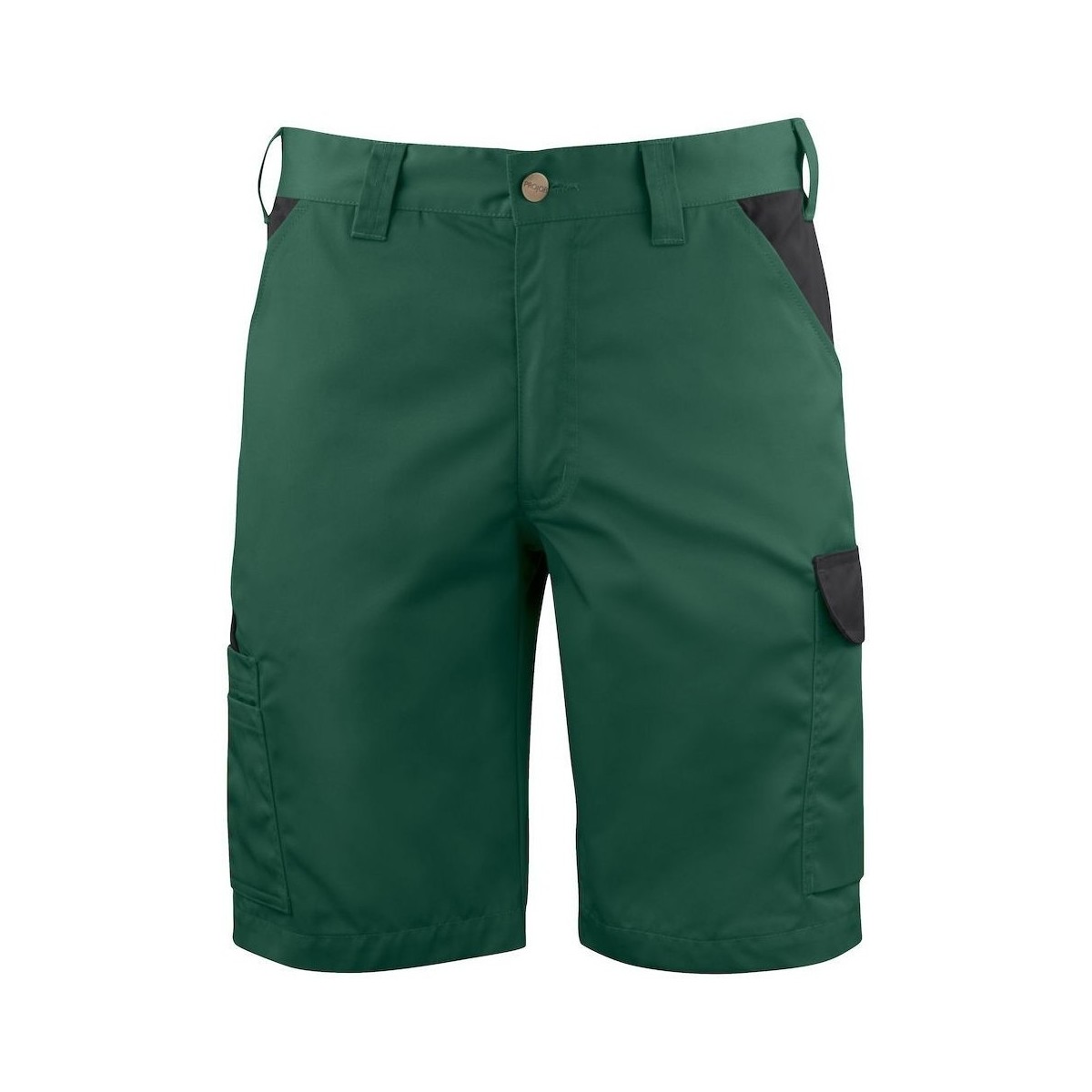 Vêtements Homme Shorts / Bermudas Projob UB767 Vert