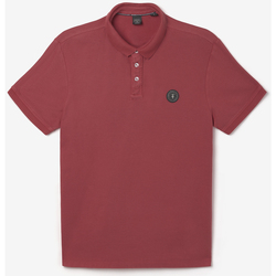 Vêtements Homme T-shirts Junior & Polos Le Temps des Cerises Polo dylon bordeaux Rouge