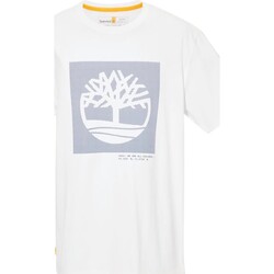 Vêtements Homme T-shirts manches courtes Timberland SS Graphic Blanc