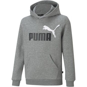 Vêtements Fille Sweats Puma Niebieskie Sweat à Capuche  Col Big Logo Gris