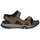 Chaussures Homme Sandales sport premium Timberland LINCOLN PEAK STRAP SANDAL Marron / Noir