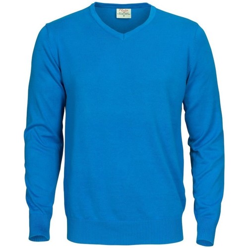 Vêtements Homme Sweats Printer UB453 Bleu