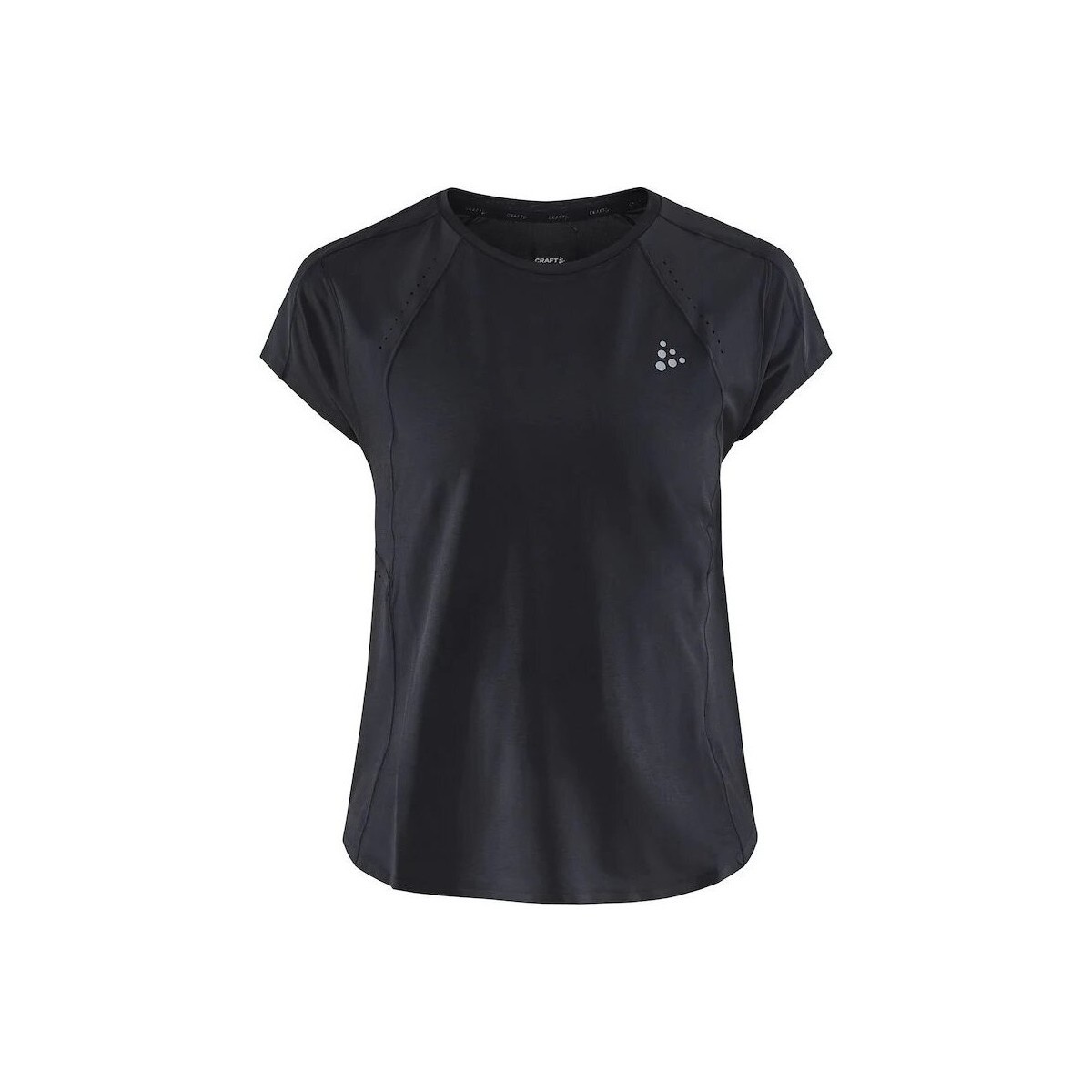 Vêtements Femme T-shirts manches longues Craft Pro Charge Noir