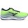 Chaussures Homme Running / trail Mizuno Wave Sky 5 Vert