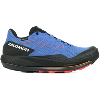 Chaussures Homme Running / trail Salomon Pulsar Trail Gtx bleu