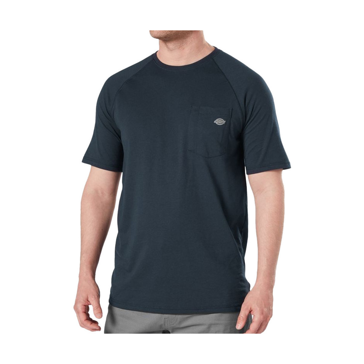 Vêtements Homme T-shirts & Polos Dickies DK0A4XUTDNX Bleu
