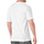 Vêtements Homme T-shirts Embroidery manches courtes Dickies DK0A4XUTWHX Blanc