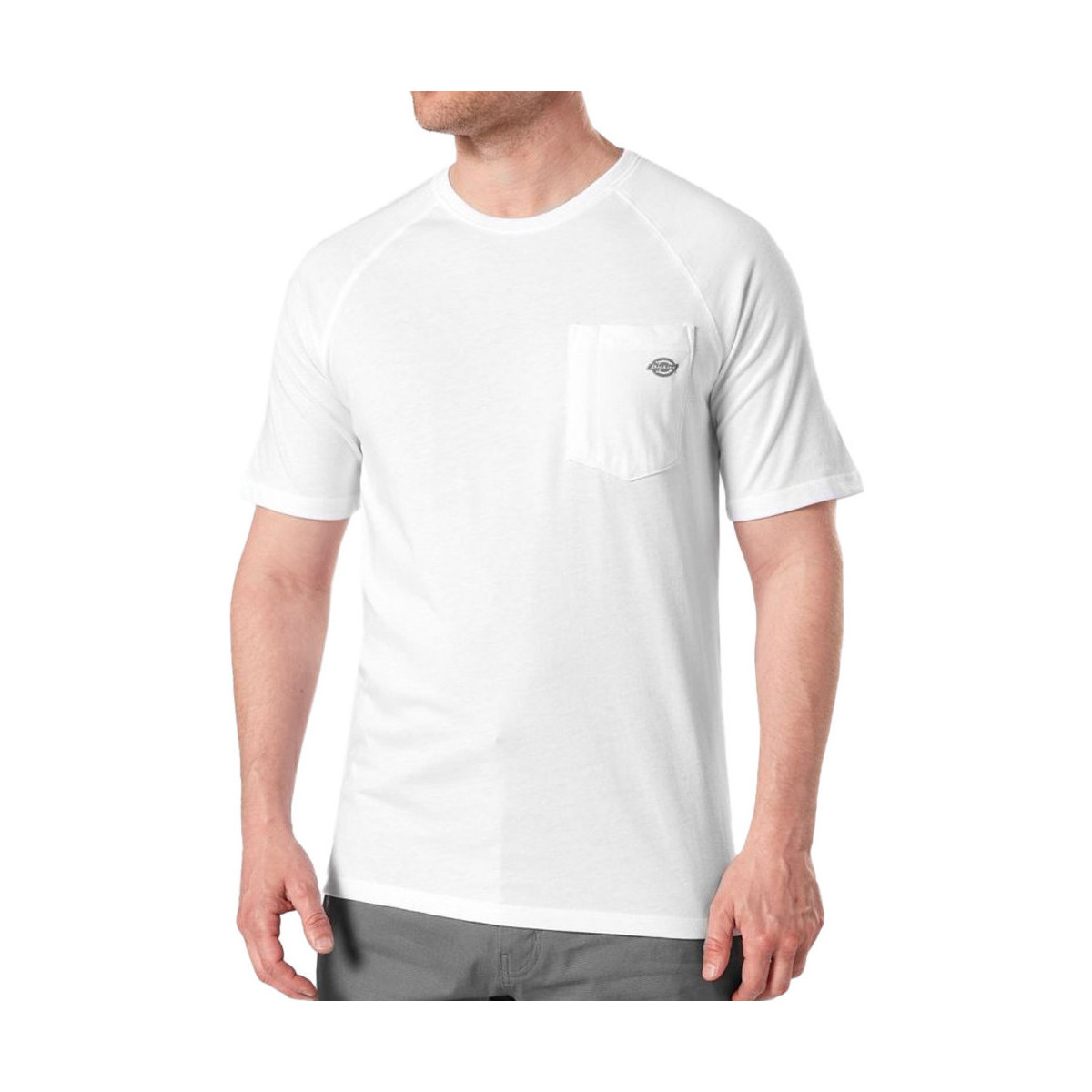Vêtements Homme T-shirts & Polos Dickies DK0A4XUTWHX Blanc