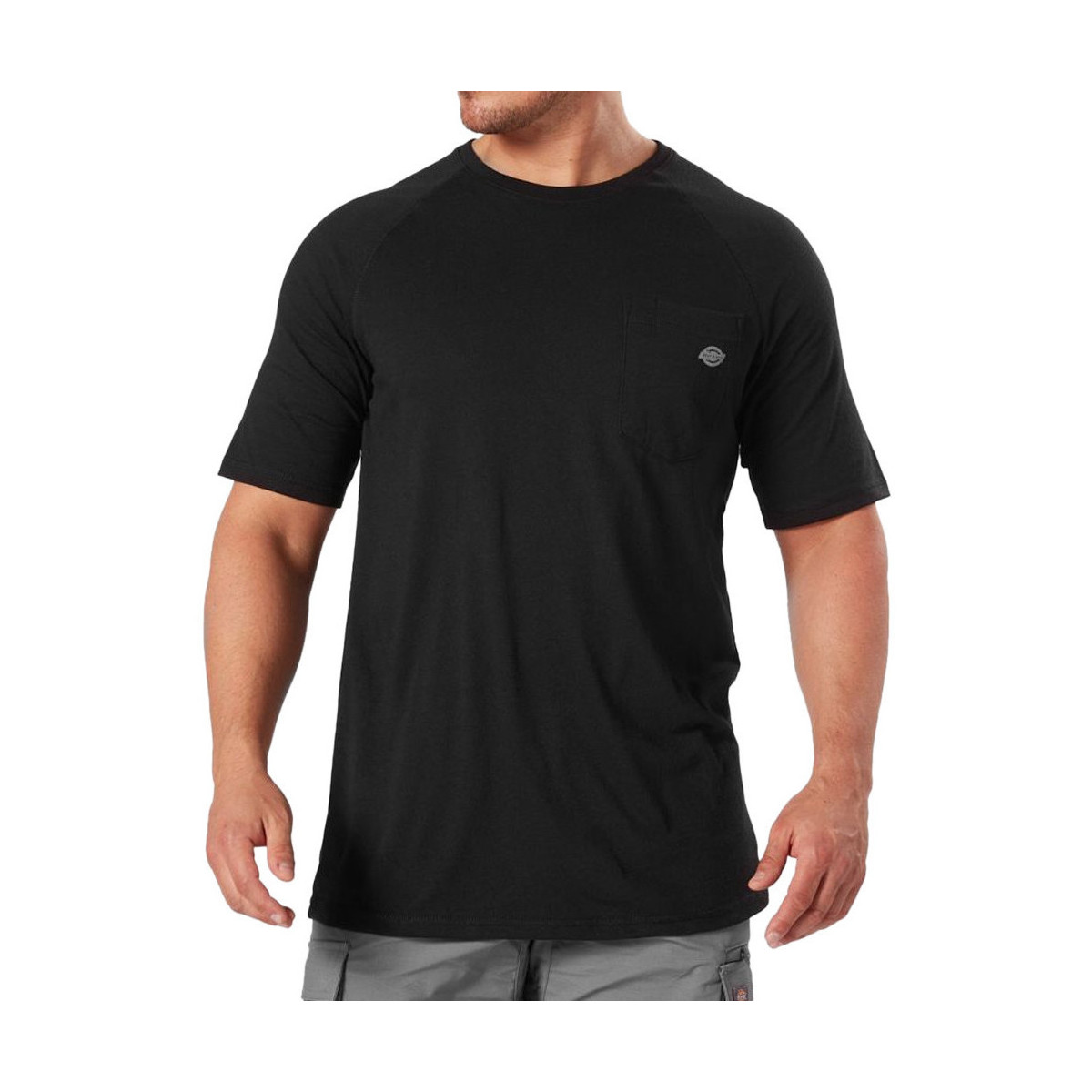 Vêtements Homme T-shirts & Polos Dickies DK0A4XUTBLK Noir