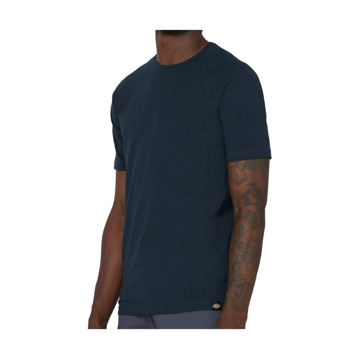 Vêtements Homme T-shirts & Polos Dickies DK0A4XU3NV0 Bleu