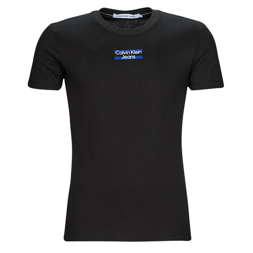 Vêtements Homme T-shirts manches courtes Calvin Logo Klein Jeans TRANSPARENT STRIPE LOGO TEE Noir