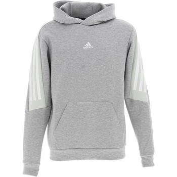 Vêtements Homme Sweats adidas consortium Originals M fi 3s hoodie Gris