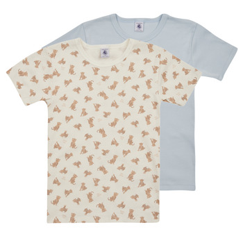 Vêtements Garçon T-Shirt bianca con piccolo logo sul petto Petit Bateau A074M00 X2 Multicolore