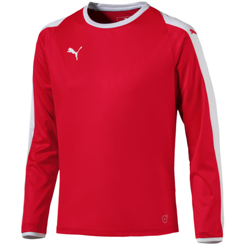 Vêtements Garçon T-shirts & Polos Puma 703421-01 Rouge